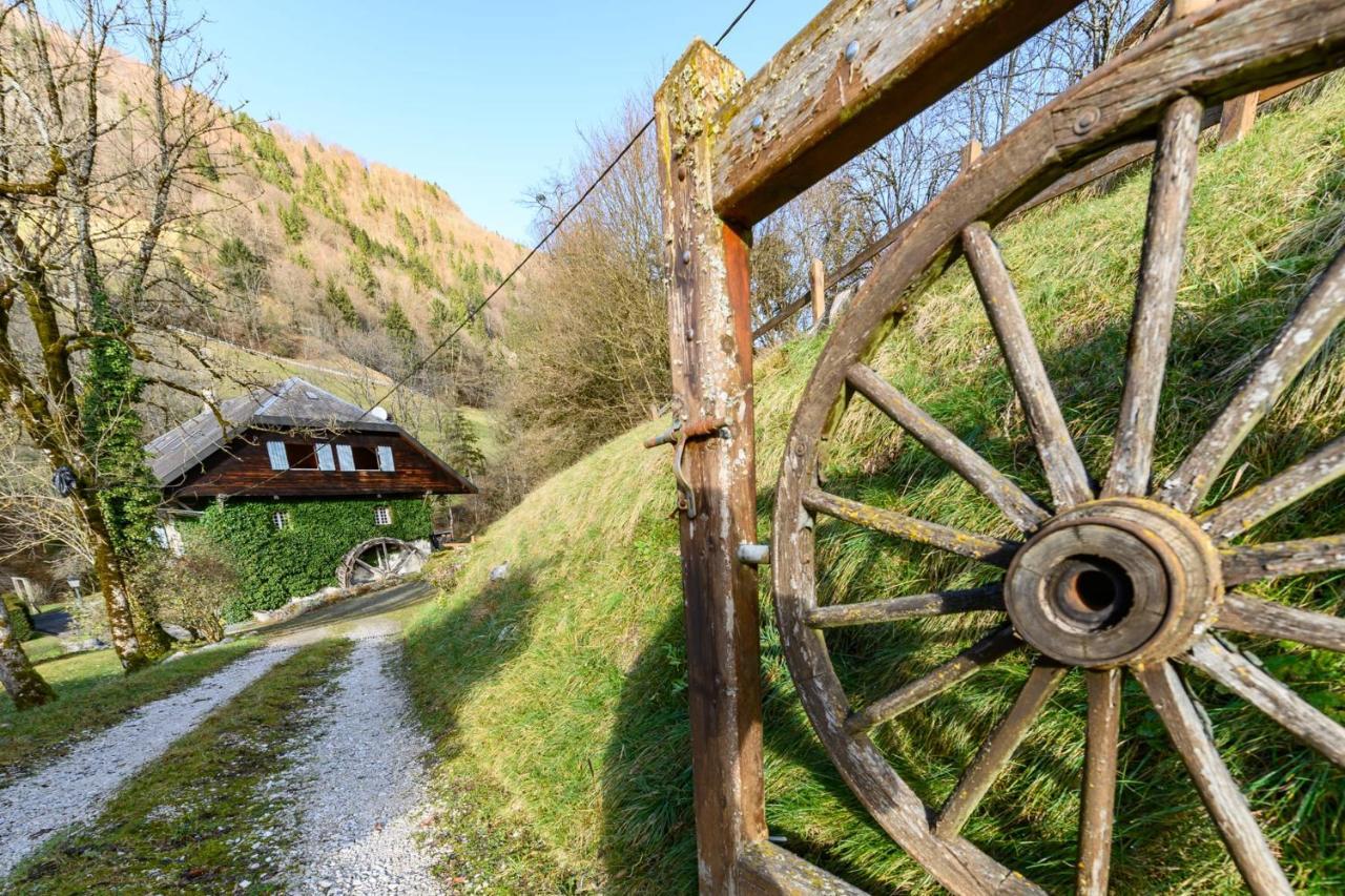 Le Moulin De Dingy - House With 6 Bedrooms & Swimmingpool 20 Mn From Annecy Exterior foto